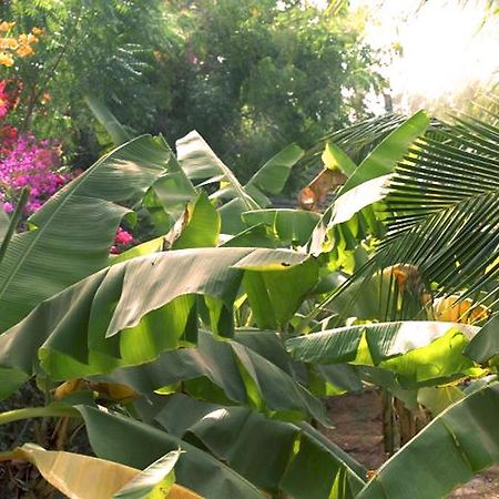 Lampsar Lodge Ndiongo Bagian luar foto