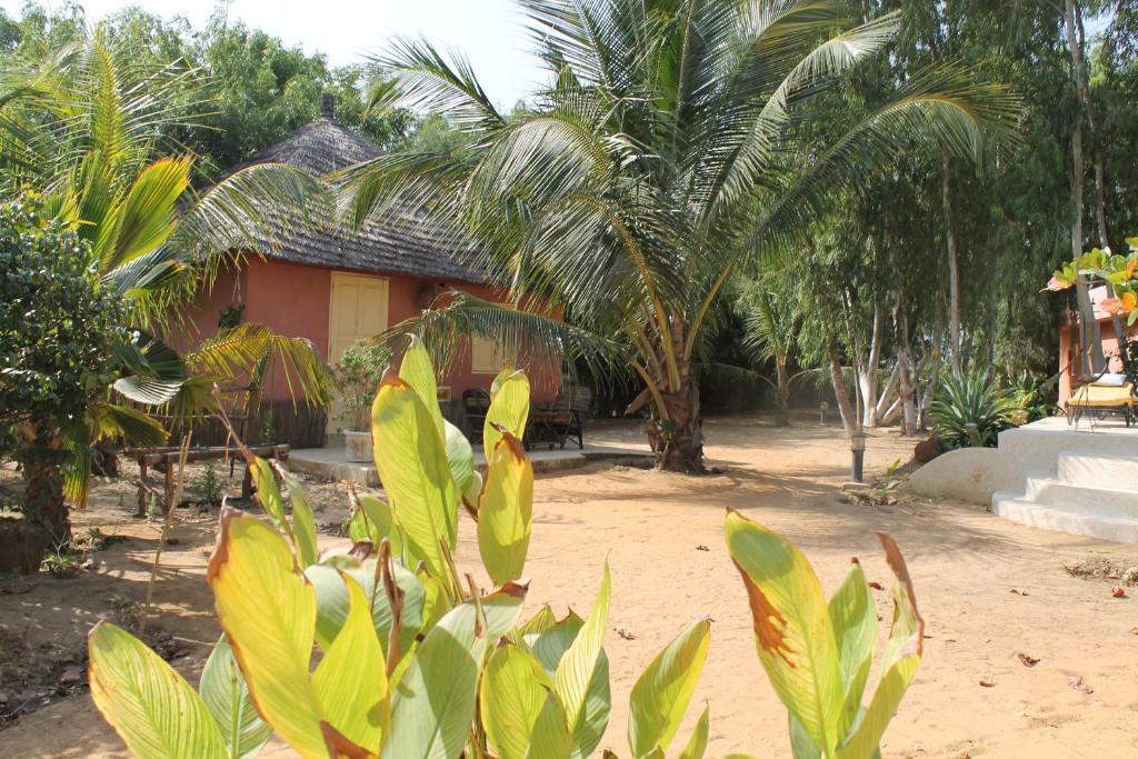 Lampsar Lodge Ndiongo Bagian luar foto