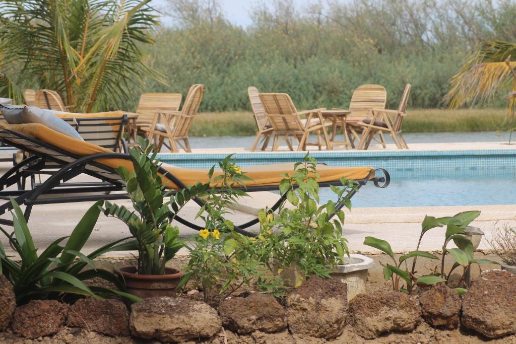 Lampsar Lodge Ndiongo Bagian luar foto