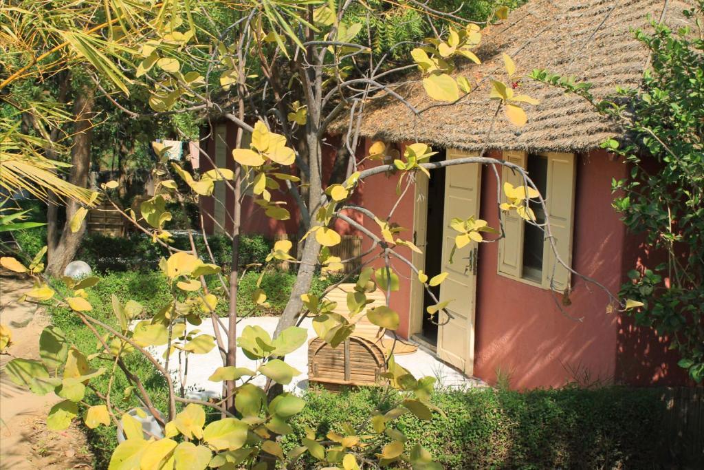 Lampsar Lodge Ndiongo Bagian luar foto
